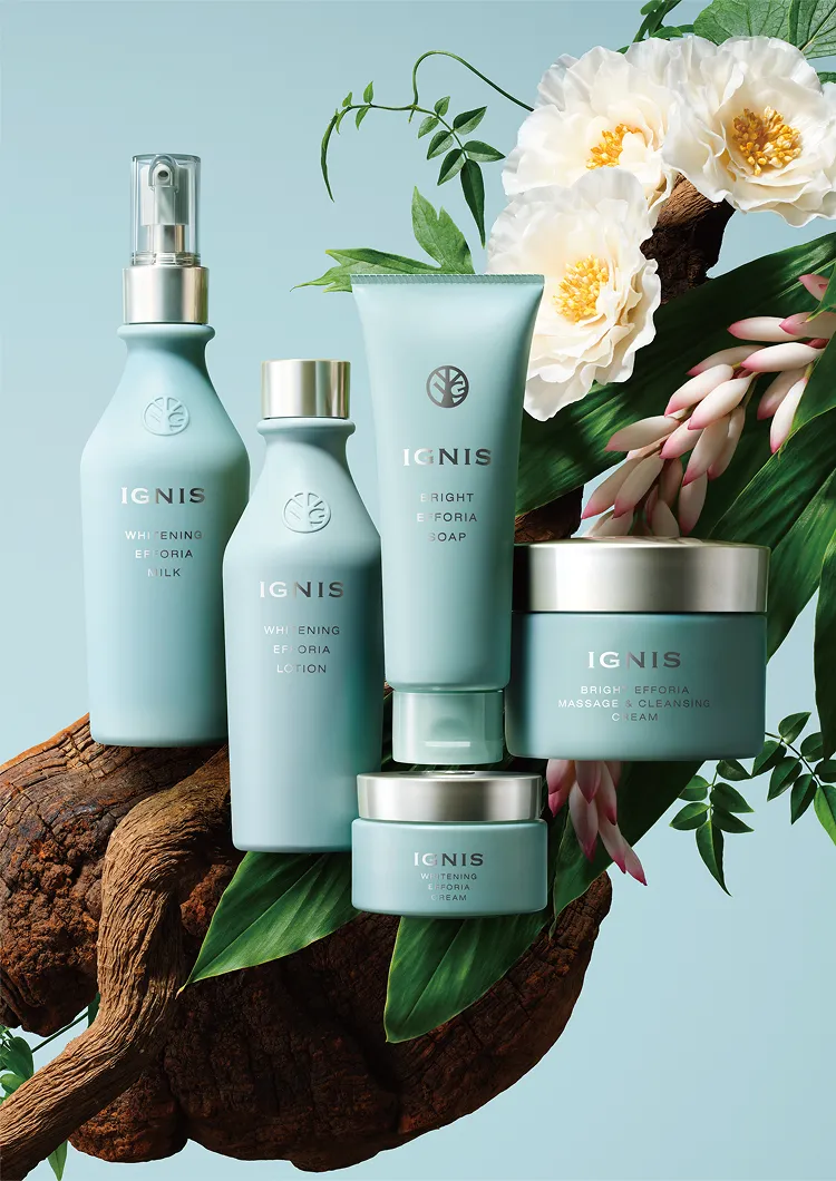 エフフォーリア商品画像